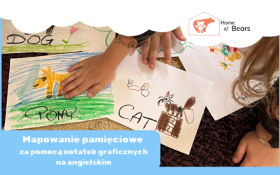 Mapowanie Pamięciowe za pomocą Notatek Graficznych na Zajęciach z Angielskiego